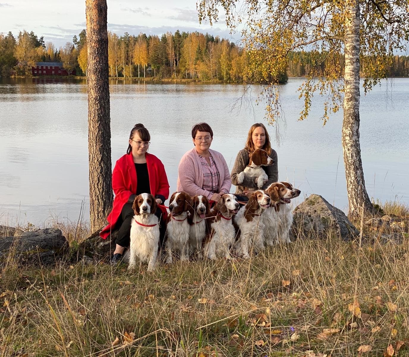 Kennel Llewpart'sin kolme kasvattajaa koiriensa kanssa